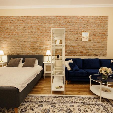 Jolie Flat In The Heart Of The City Timisoara Exterior photo