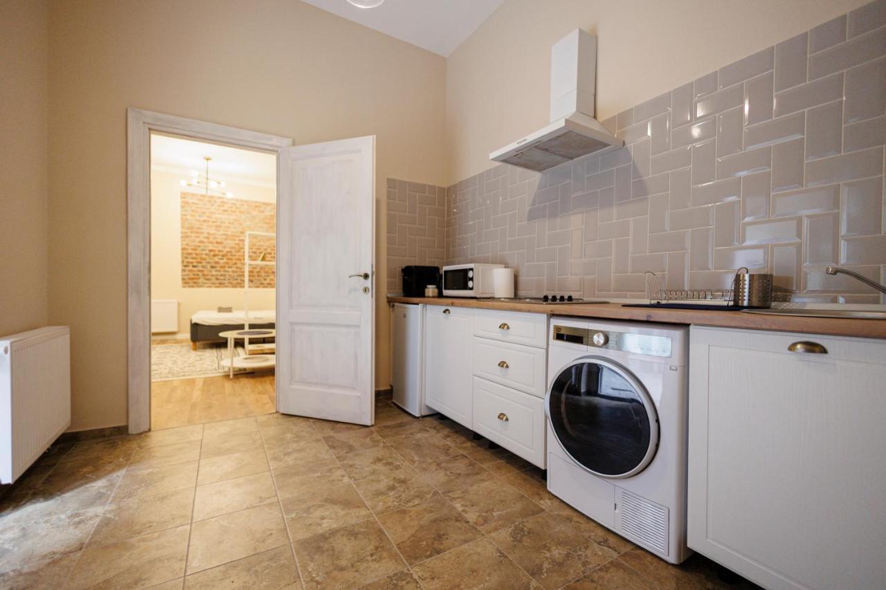 Jolie Flat In The Heart Of The City Timisoara Exterior photo